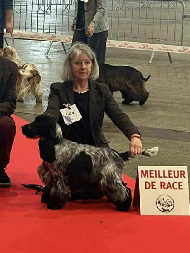 royal friend’s Hannibal